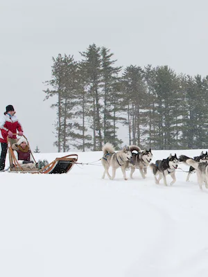 Family-friendly hotels in Pocono Mountains