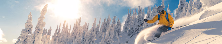 Ski Hotels