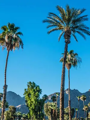 Family-friendly hotels in Palm Springs