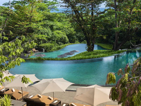 A pool area with lounge chairs and umbrellas, surrounded by lush greenery and trees.
