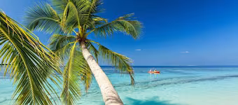 Saint Francis Resort