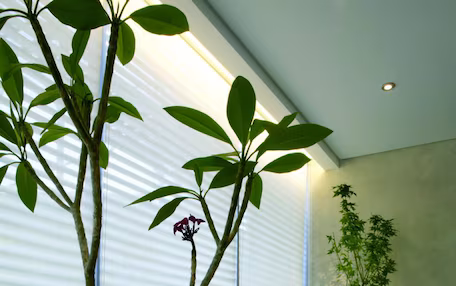 A modern room with a large window, a potted plant, a cushioned bench, and a small table with cups and a teapot.